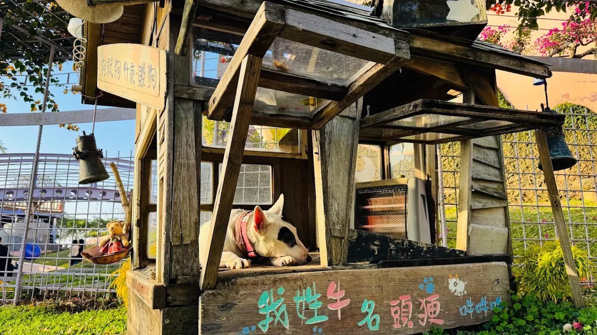 探索台灣日月潭的隱藏寶石：最佳景點、餐廳與活動推薦