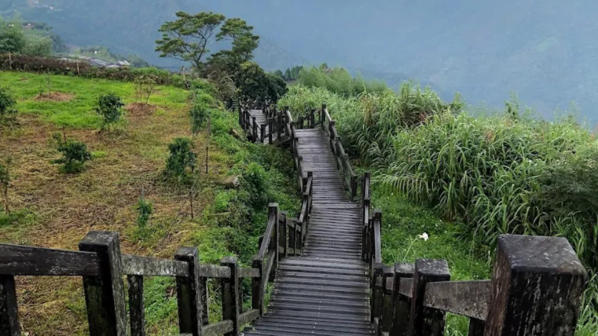 阿里山鄉旅遊指南｜必訪景點與美食推薦