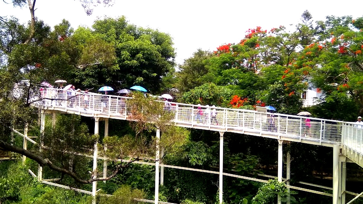 彰化景點:探索八卦山大佛與周邊美麗景觀