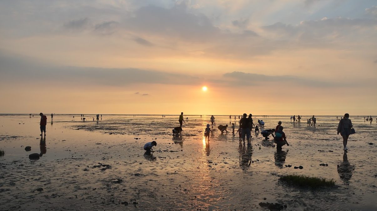 新竹景點｜探索新竹不容錯過的必遊景點與活動