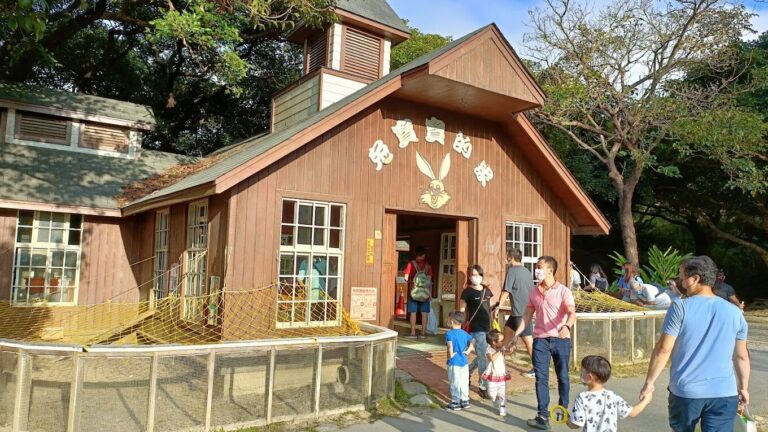 飛牛牧場之旅：你絕不能錯過的獨特體驗