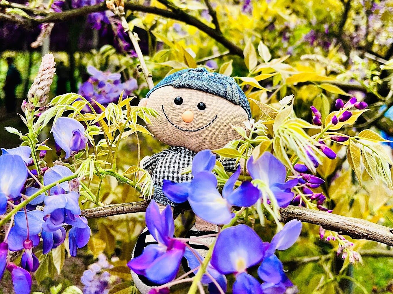 淡水紫藤花園必遊指南｜理由讓你不想錯過這個祕境