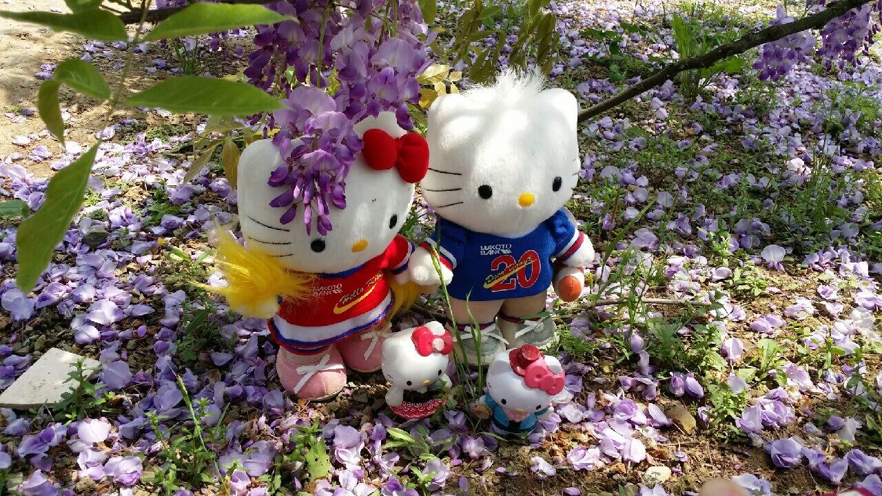 淡水紫藤花園必遊指南｜理由讓你不想錯過這個祕境