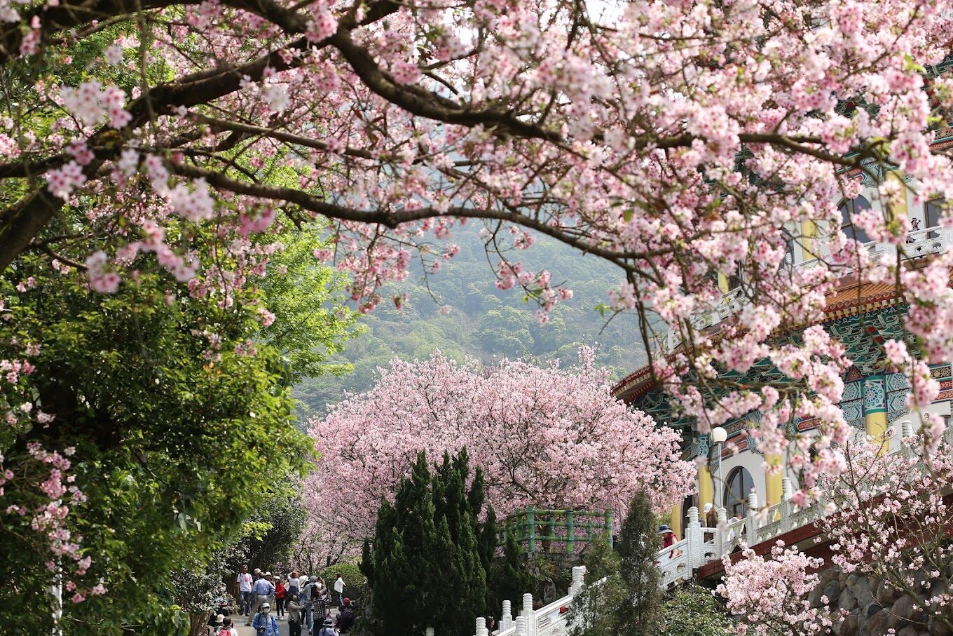 雙北景點推薦：免費打卡拍照熱點