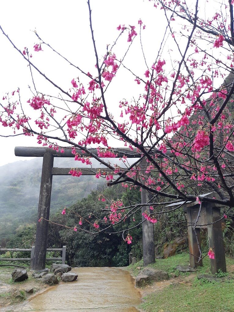 雙北景點推薦：免費打卡拍照熱點