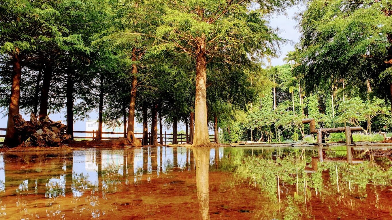 【2023】探索南投必去景點：避開人潮的隱藏秘境