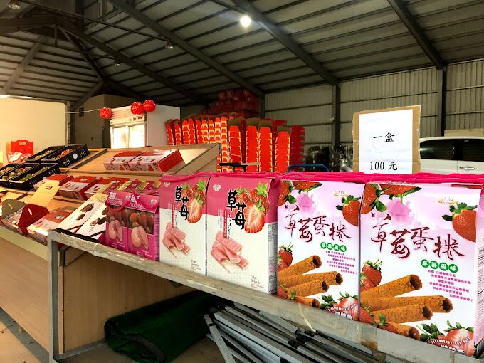 2025年採草莓推薦：避免這常見錯誤，享受完美採摘體驗