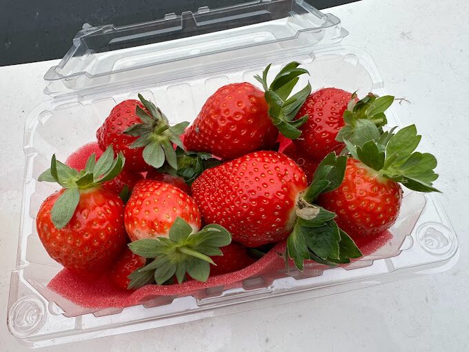 2025年採草莓推薦：避免這常見錯誤，享受完美採摘體驗
