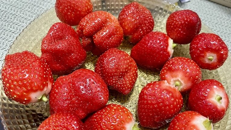 不可錯過的大湖草莓採摘景點｜品嚐新鮮甜美的在地特產