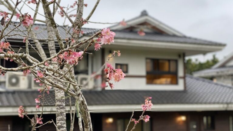 2025南投住宿推薦｜避免踩雷的必訪特色民宿