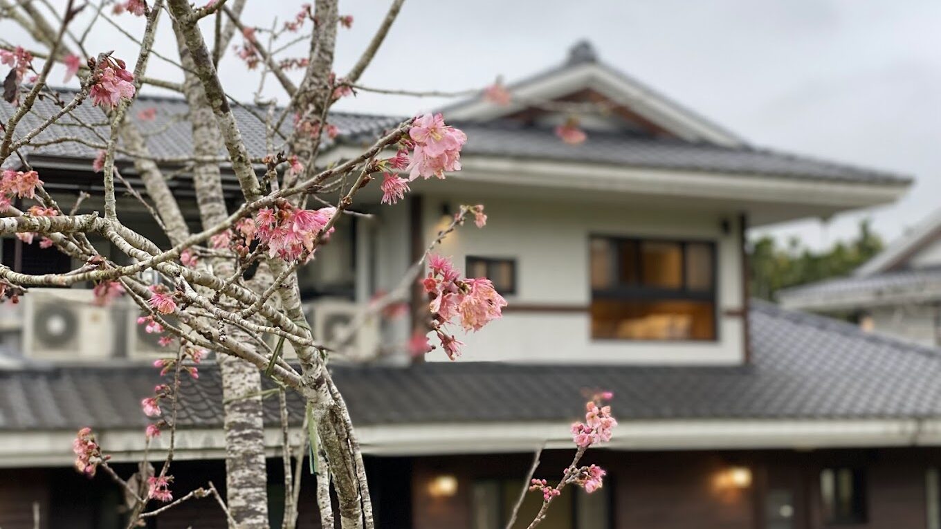 2025南投住宿推薦｜避免踩雷的必訪特色民宿