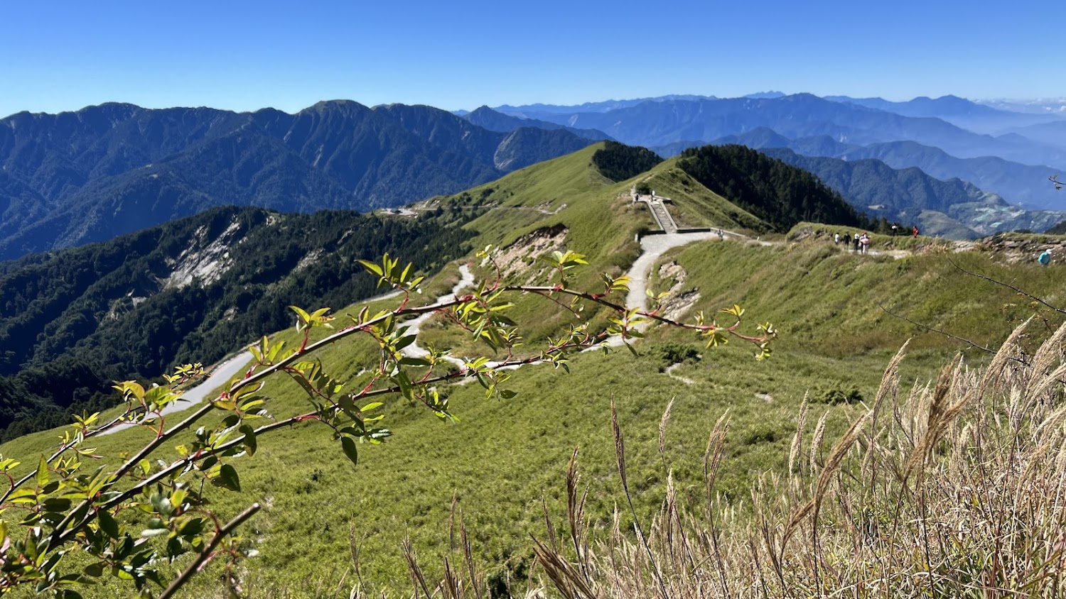 合歡山主峰步道