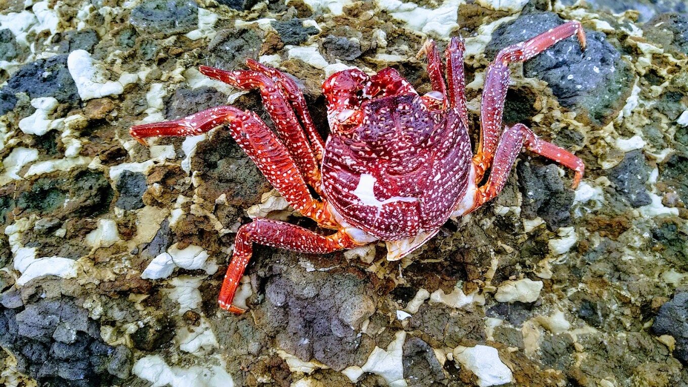 【2025】台東長濱必遊景點推薦｜5處自然秘境你絕對不能錯過