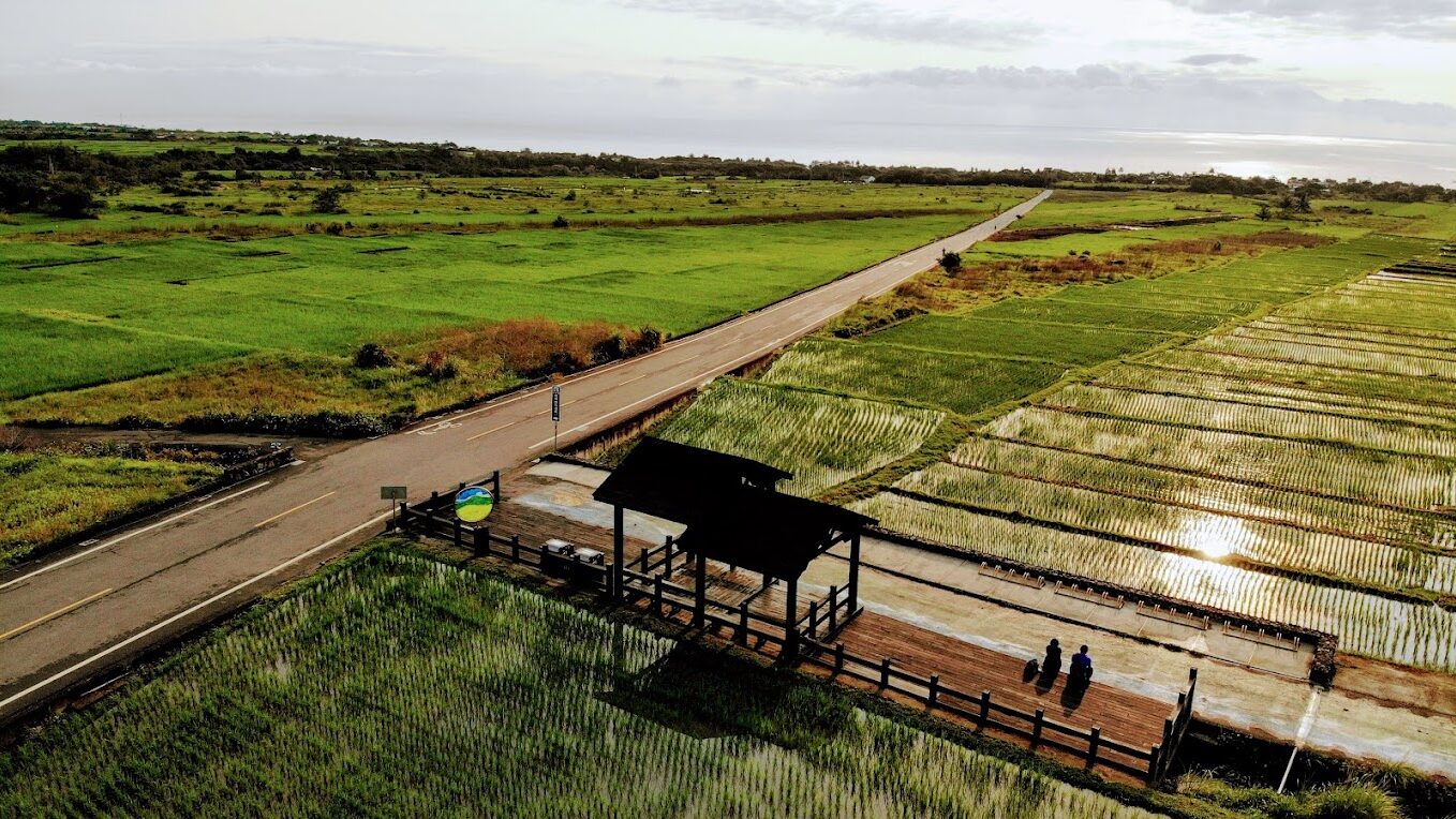 長濱景點必遊清單：5個絕對不能錯過的旅遊熱點