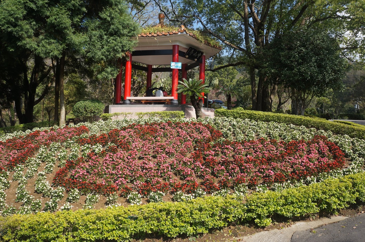 【2025】東勢林場旅遊全攻略｜必玩景點、當地美食與住宿推薦