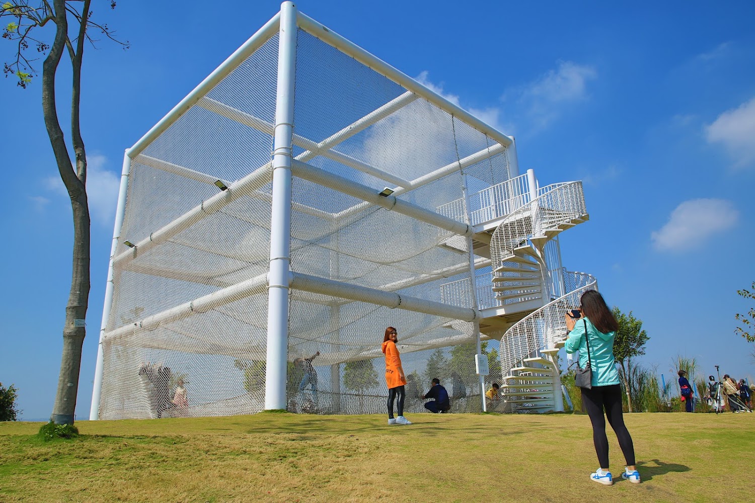 台中中央公園必去景點｜避免錯過的精彩活動