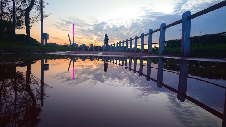 台中中央公園必去景點｜避免錯過的精彩活動