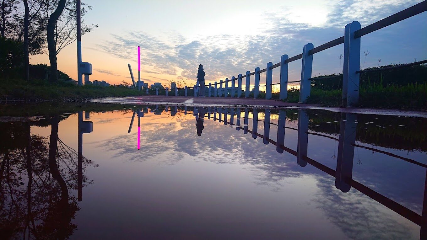 台中中央公園必去景點｜避免錯過的精彩活動