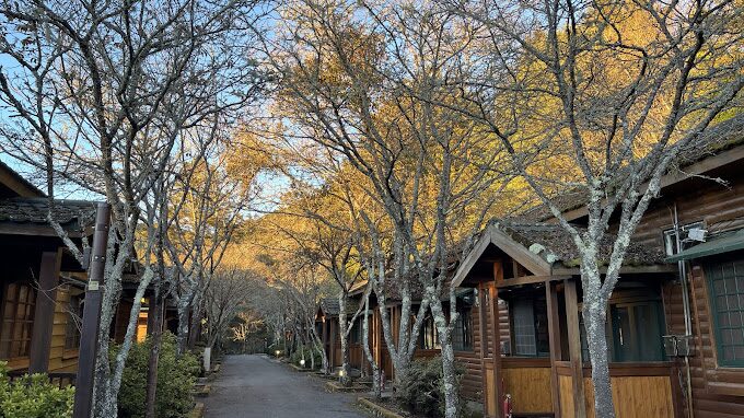 大雪山森林遊樂區必遊景點｜避免錯過的當地美食與文化體驗