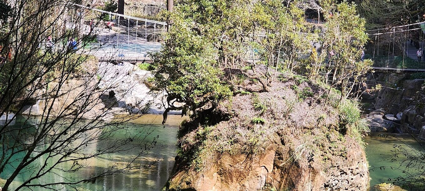 杉林溪必遊理由｜探索台灣秘境的自然奇觀