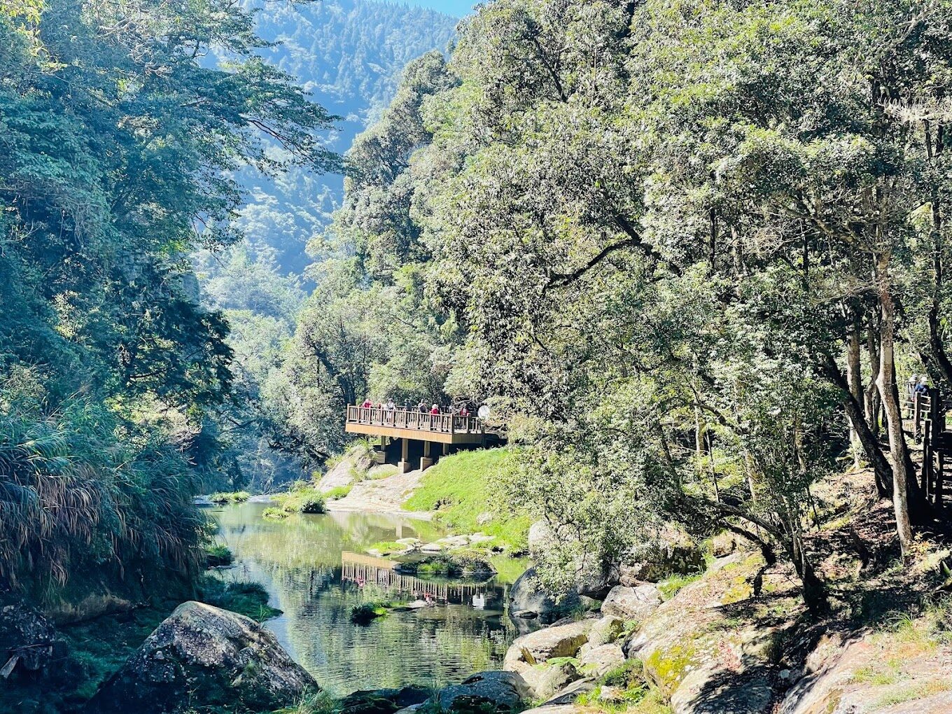 杉林溪必遊理由｜探索台灣秘境的自然奇觀