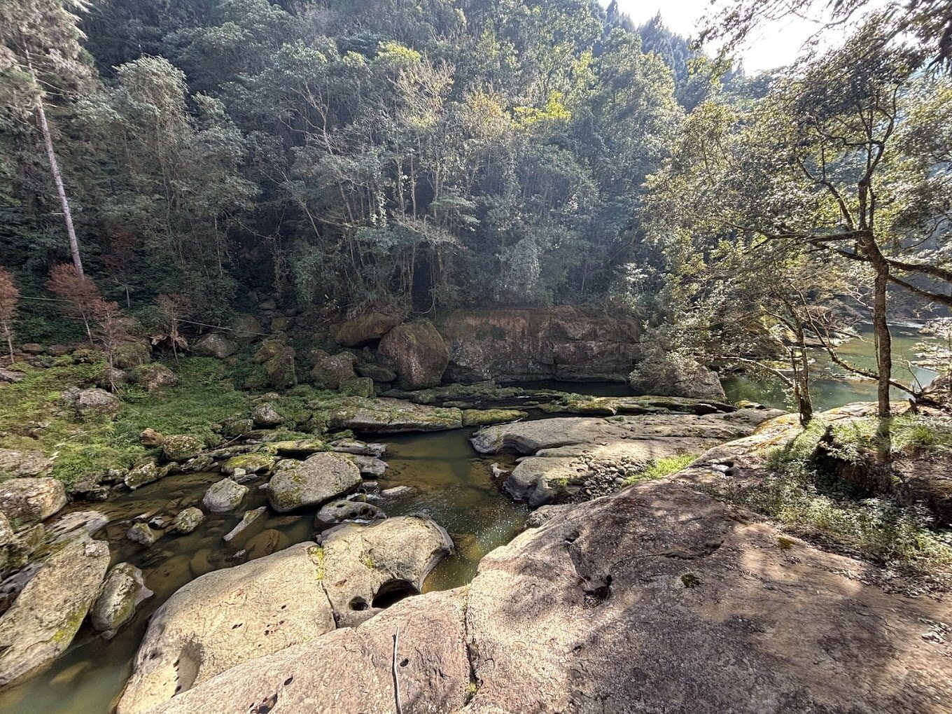 杉林溪必遊理由｜探索台灣秘境的自然奇觀