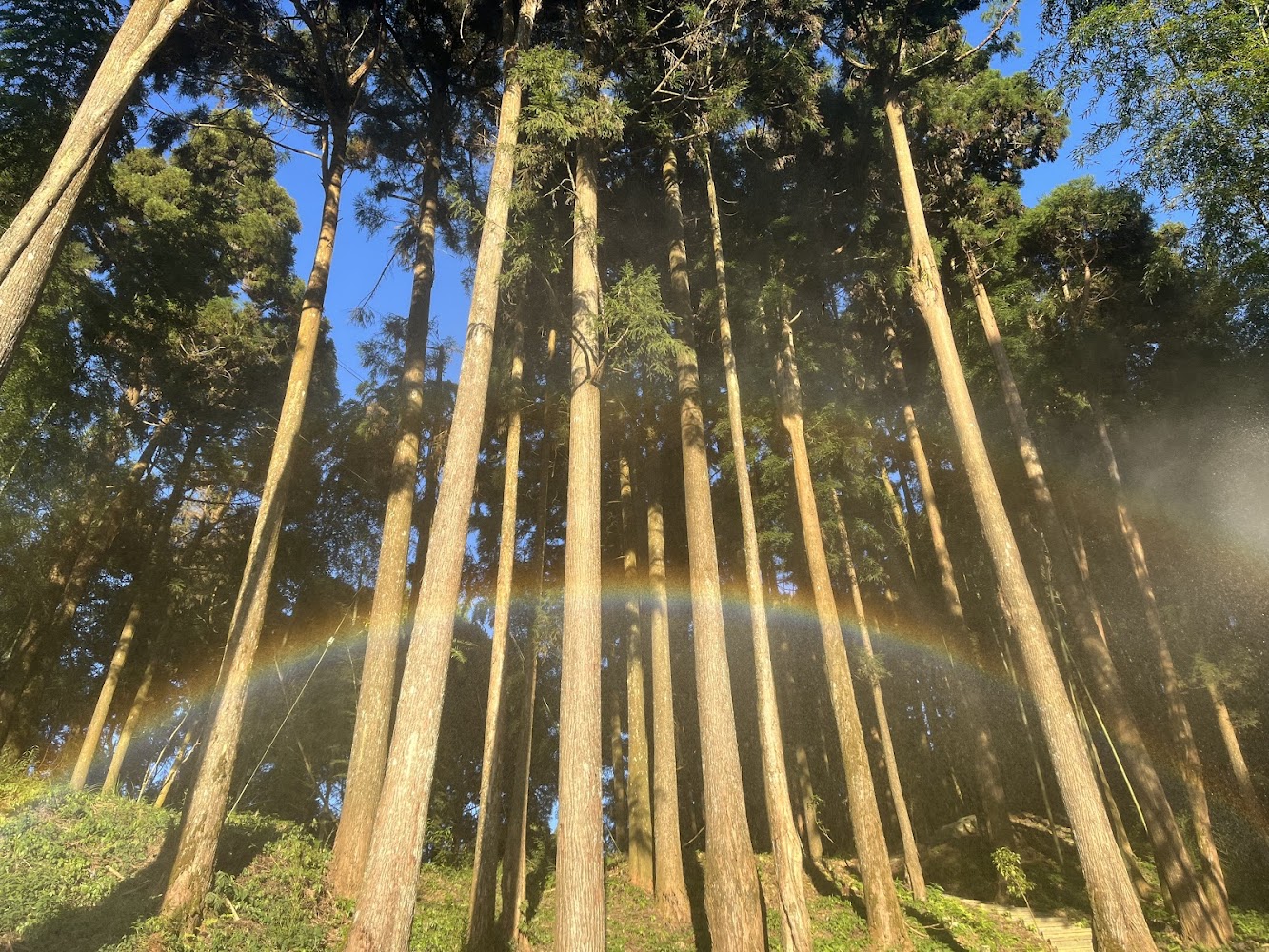 雲林景點不容錯過｜必訪的隱藏美食與自然秘境