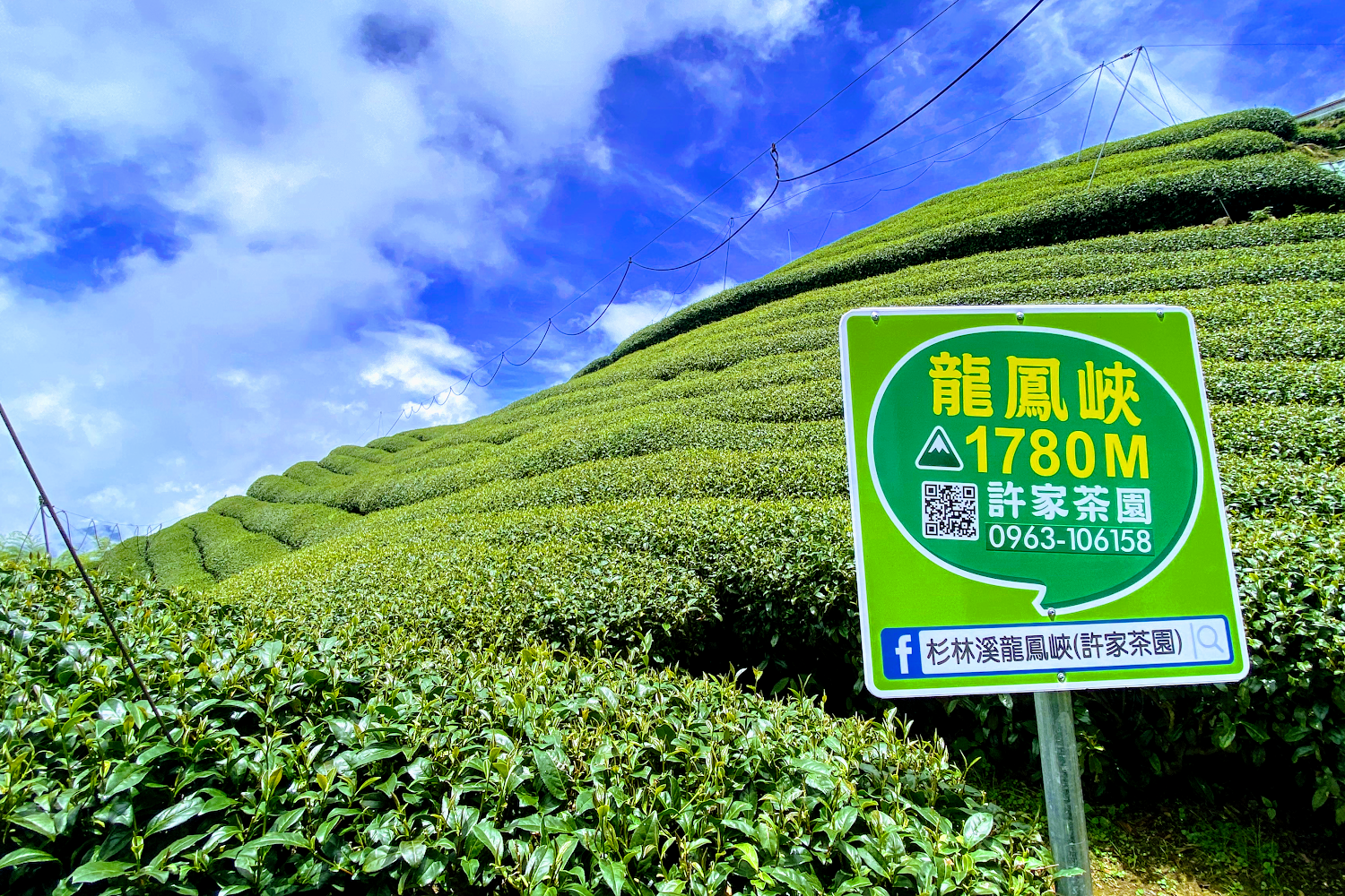 杉林溪旅遊攻略｜必訪景點與當地美食推薦