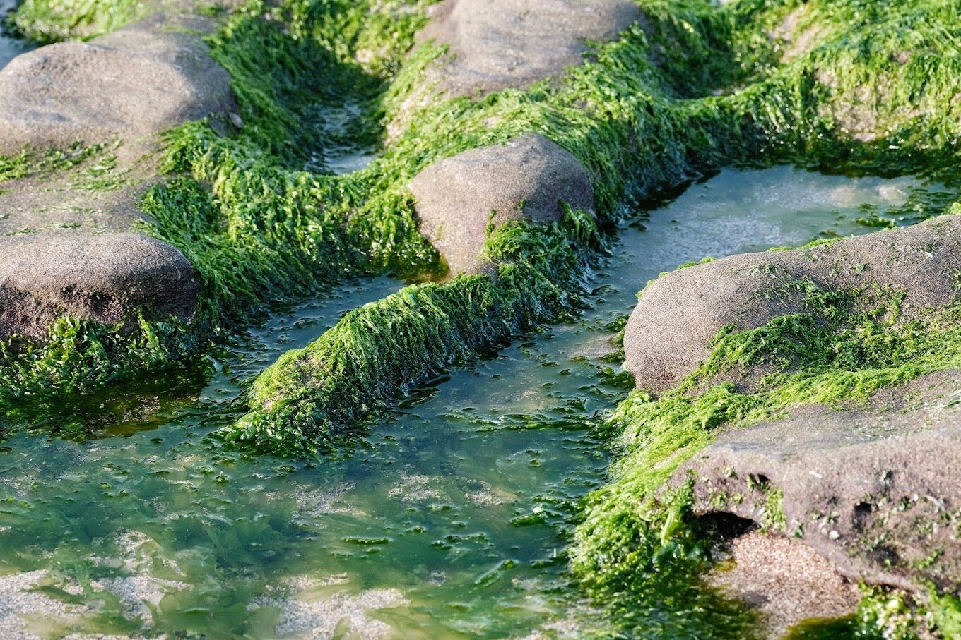 老梅石槽必看景點｜避免錯過這最佳拍攝角度