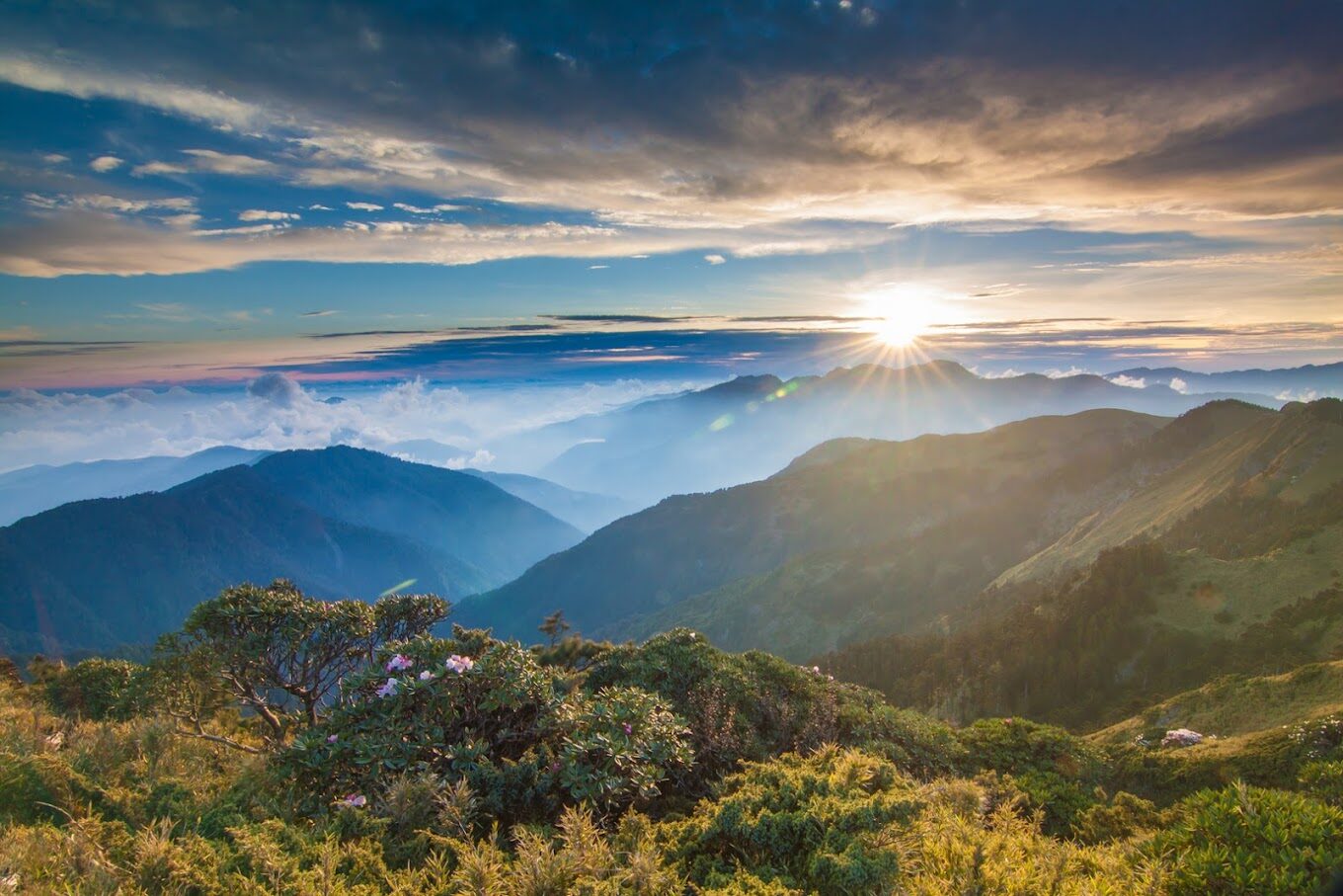 【2025】合歡山必玩景點推薦|享受絕美山景大攻略
