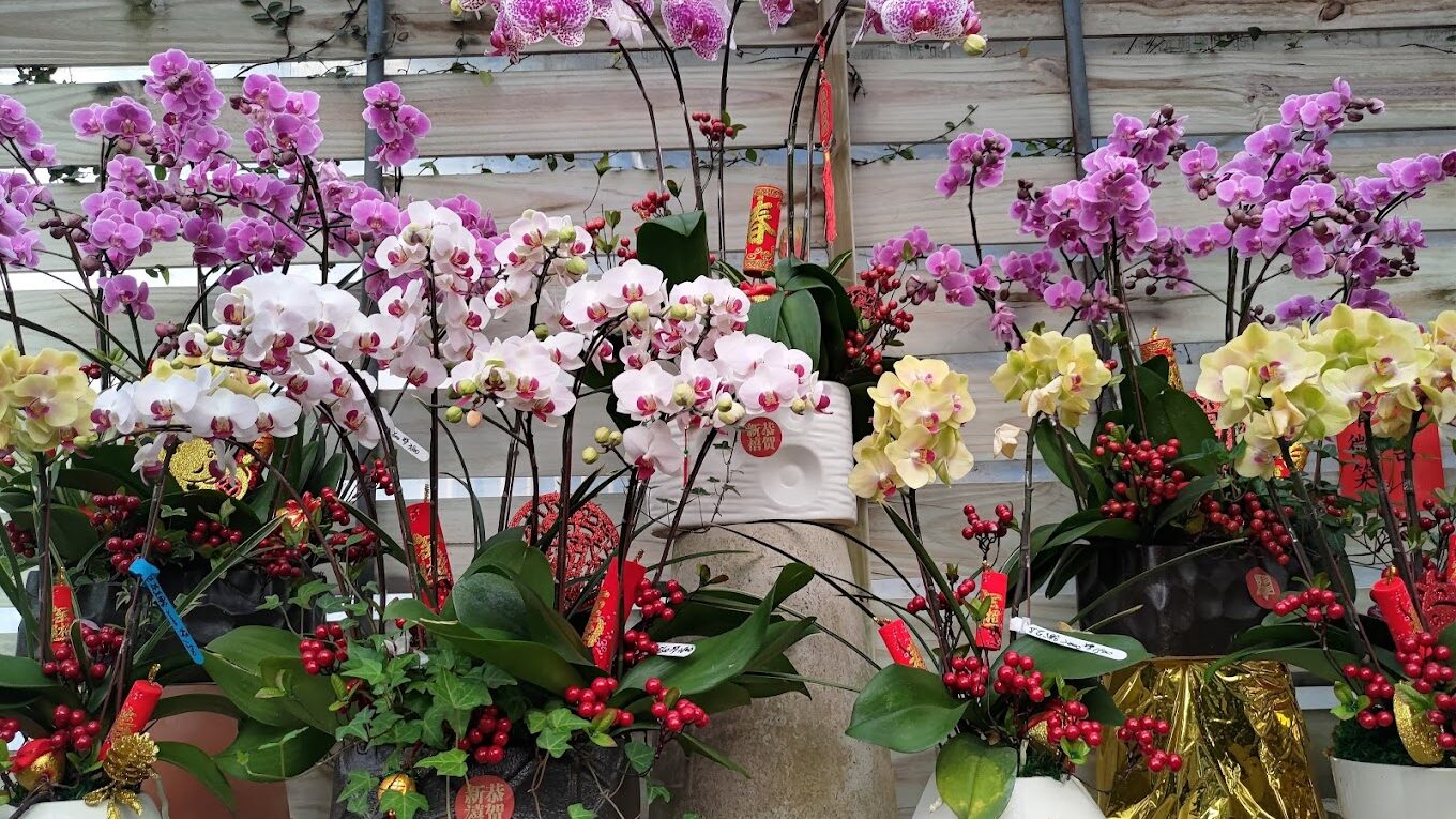 臺灣彰化景點推薦:2025年必訪的旅遊熱點