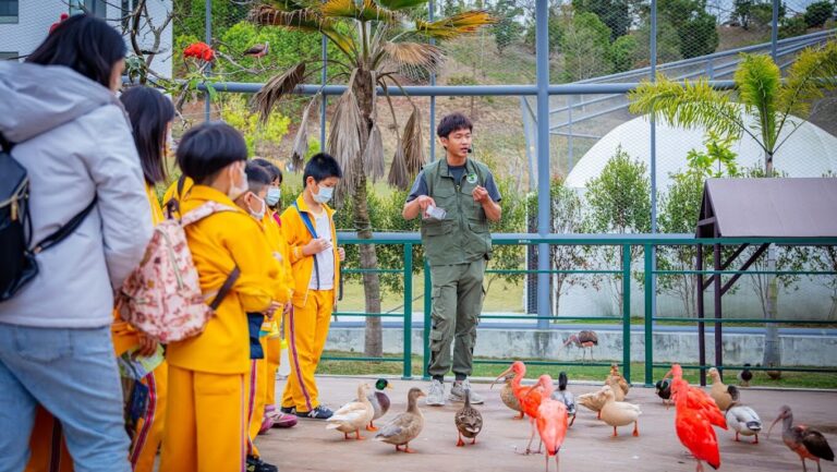 九九峰動物樂園探秘：不容錯過的亮點與最佳遊玩攻略