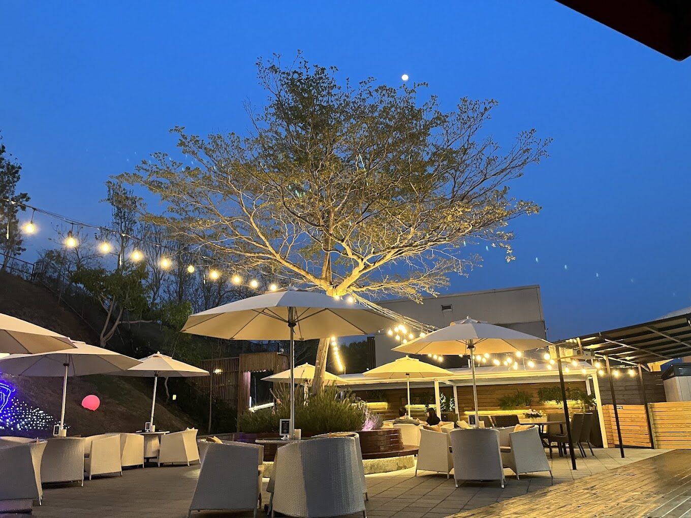 【2025】台中日光溫泉會館必知指南：5大原因讓你後悔沒提早計劃！