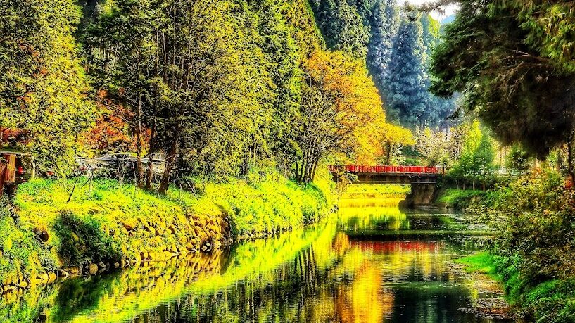 杉林溪旅遊指南：探索必訪景點與在地美食推薦