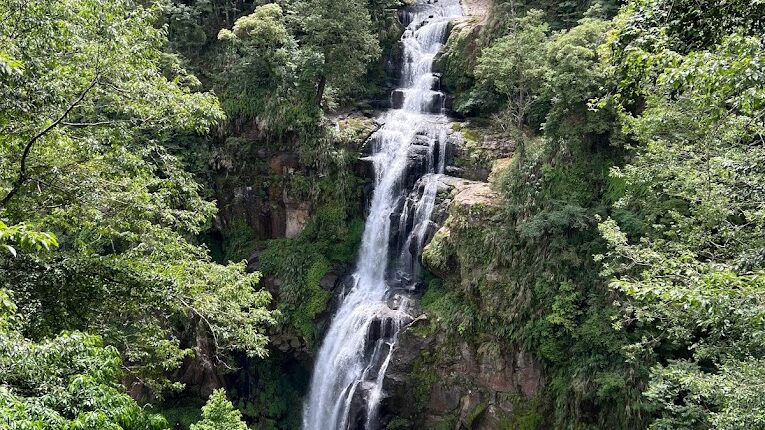 杉林溪旅遊指南：探索必訪景點與在地美食推薦