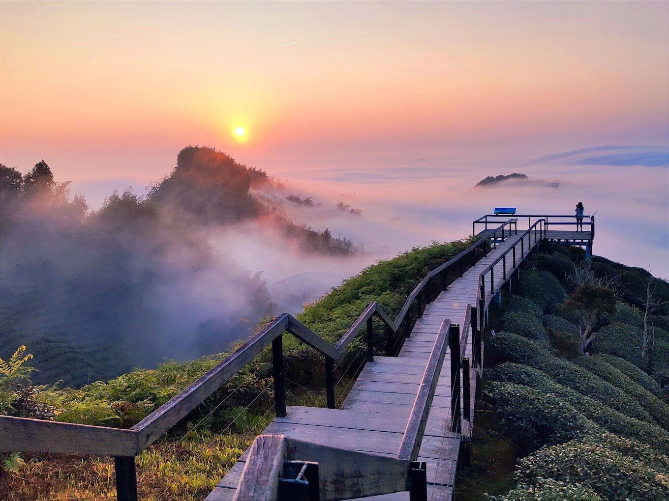 杉林溪旅遊指南：探索必訪景點與在地美食推薦