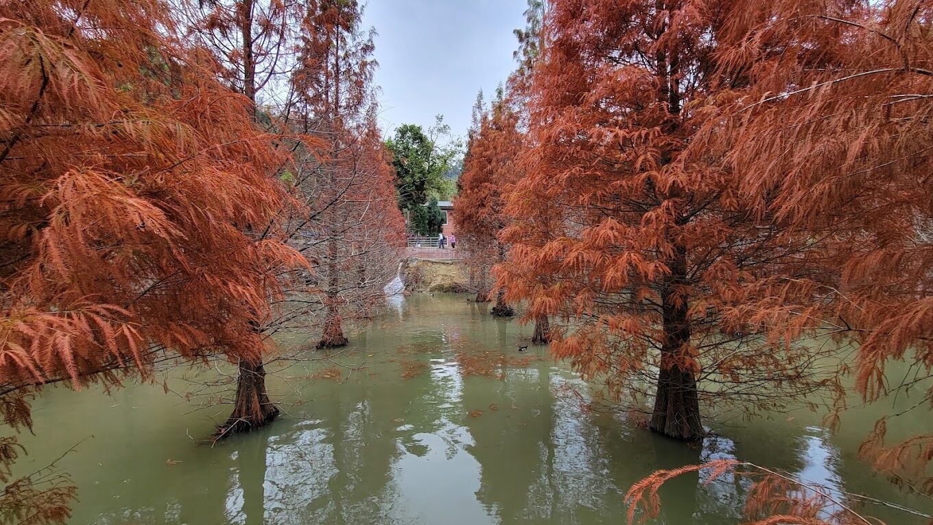 苗栗三義必遊景點攻略｜探訪隱藏版文化秘境