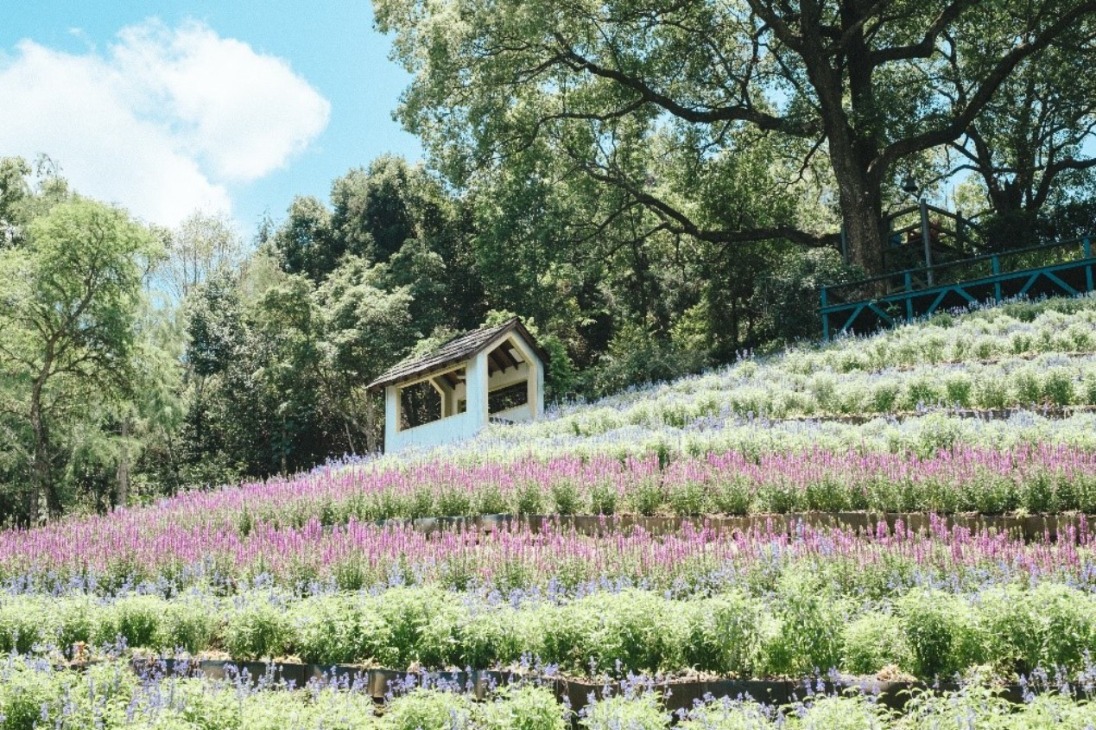 【2025】台中景點必去推薦｜不容錯過的隱藏秘境
