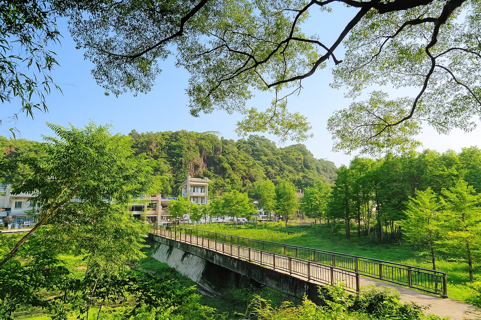 【2025】日月潭旅遊不可錯過的景點｜完整攻略與秘境探索