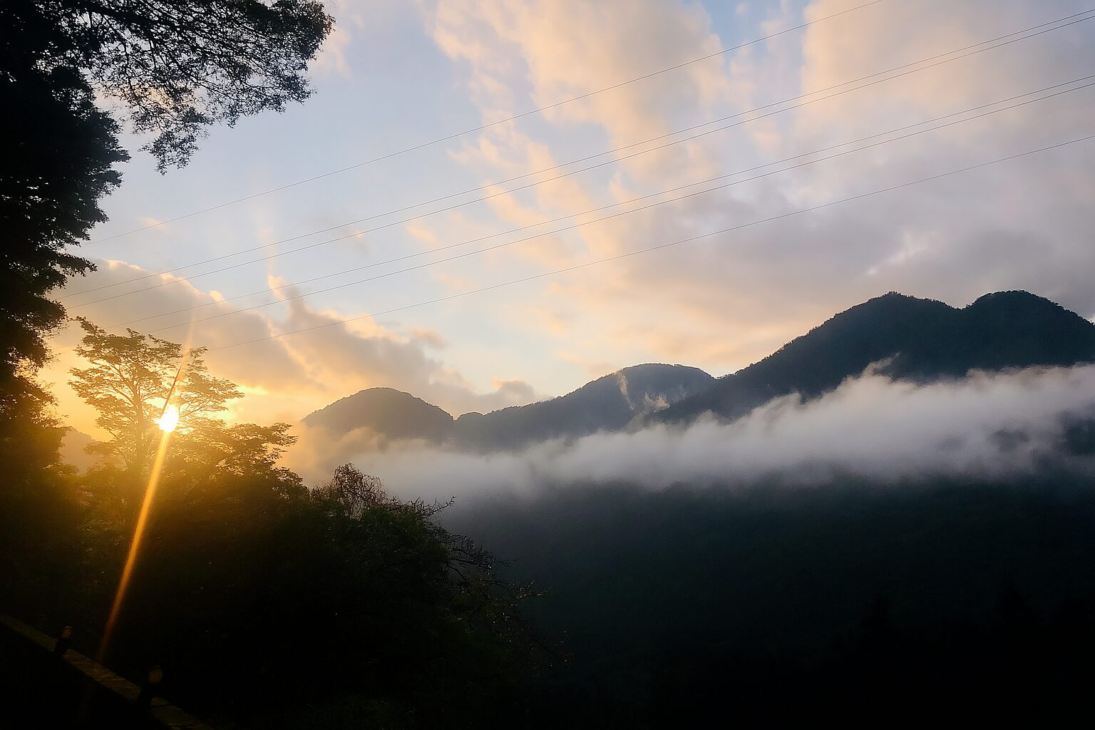 八仙山國家森林遊樂區絕佳探索指南｜必訪景點與在地美食推薦