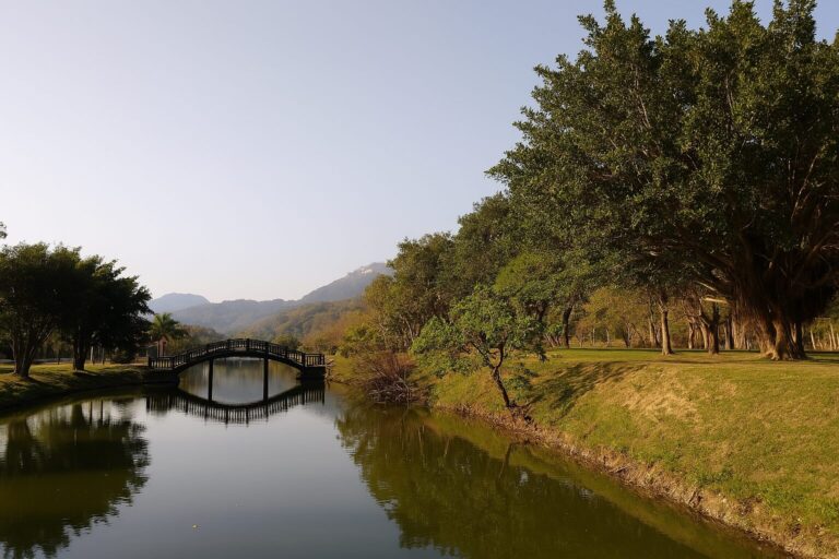 【2025】探索三坑自然生態公園的必知秘密｜避開遊客人潮的最佳時間