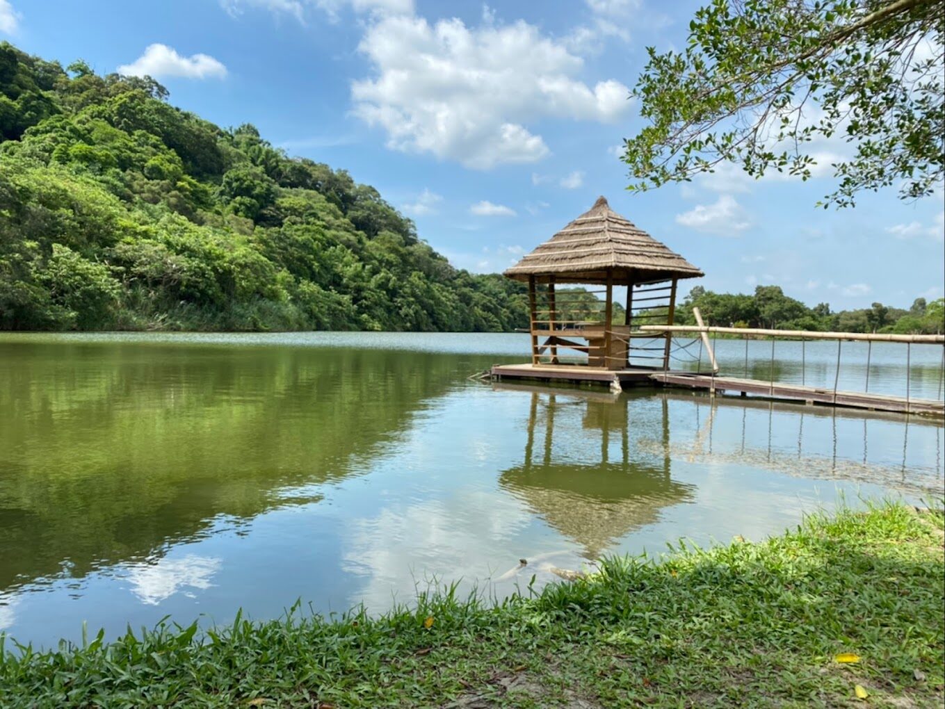【2025】探索三坑自然生態公園的必知秘密｜避開遊客人潮的最佳時間