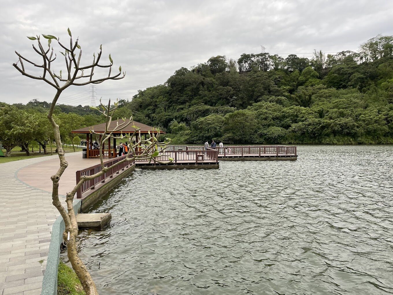 【2025】探索三坑自然生態公園的必知秘密｜避開遊客人潮的最佳時間