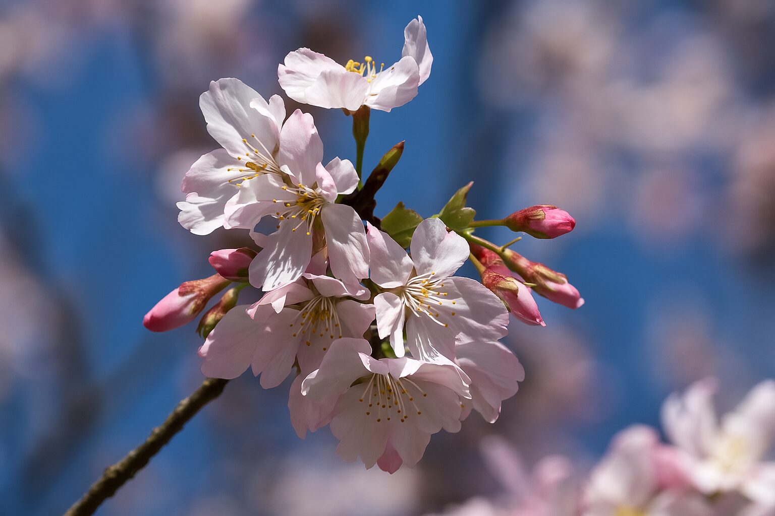 2025新北景點推薦｜這必看秘境讓你探索不已