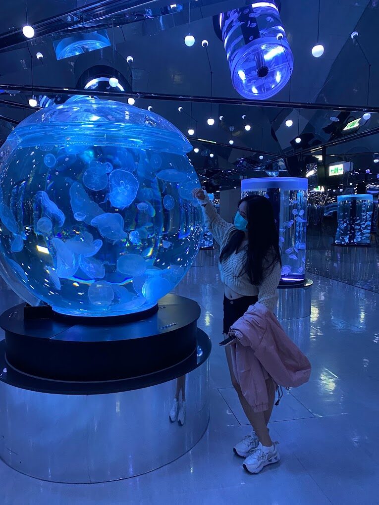 桃園水族館必訪攻略：探索這魅力景點