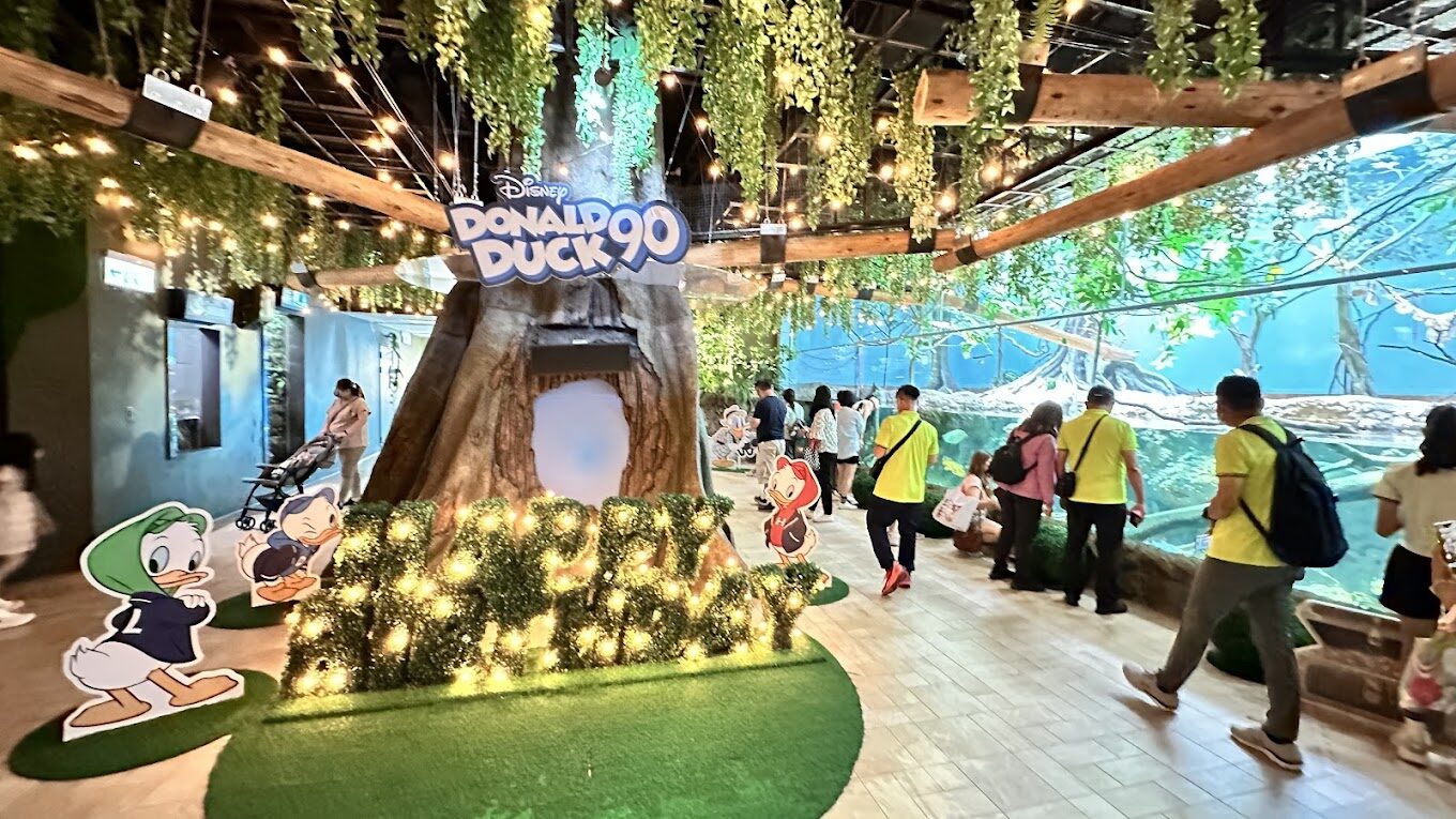 桃園水族館必訪攻略：探索這魅力景點