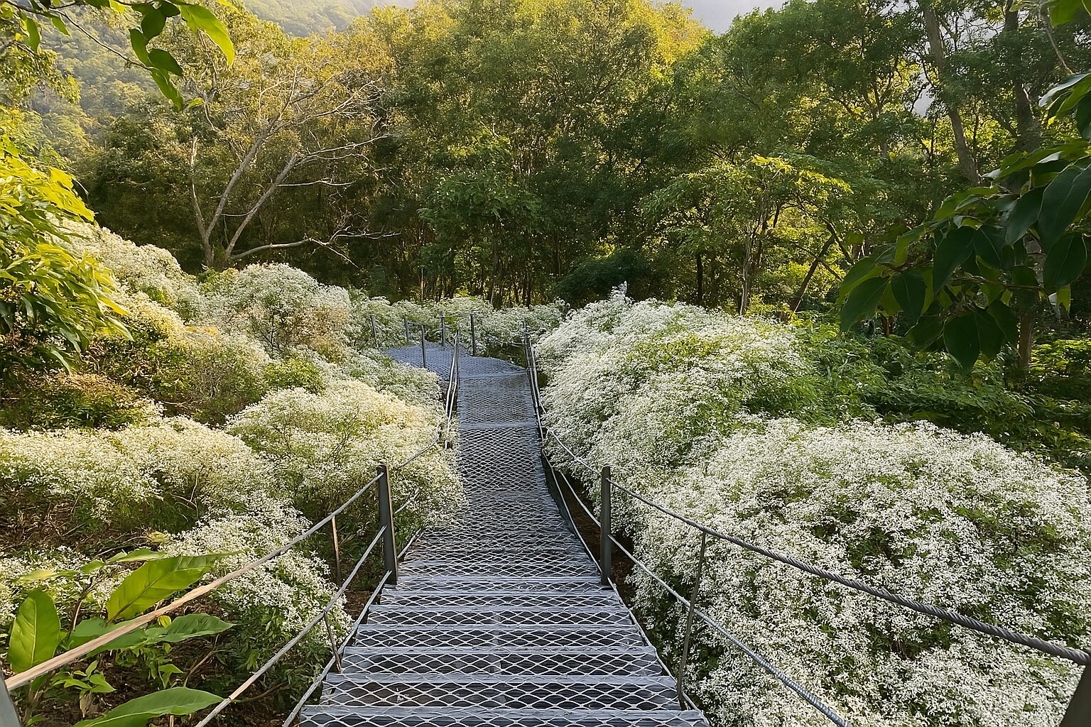 探索仙湖農場的隱藏魅力｜你不能錯過的必玩景點