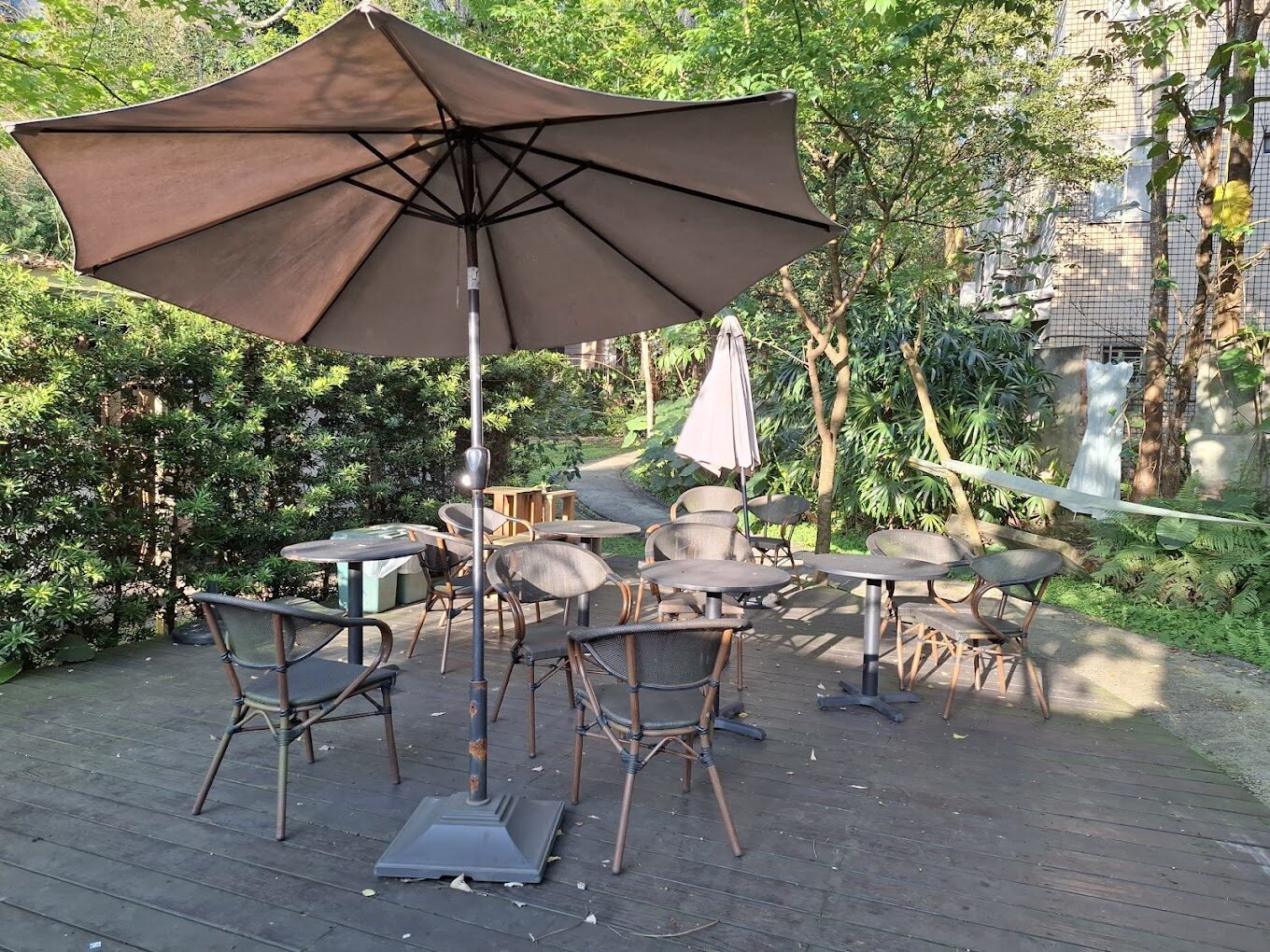 陽明山秘境：必去景點及不容錯過的隱藏咖啡廳