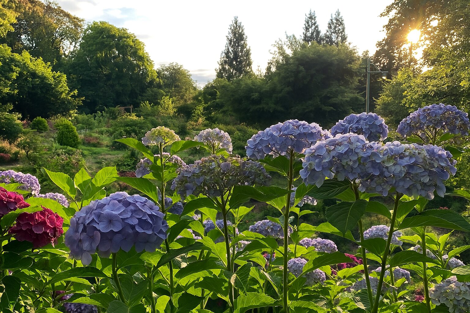 雪霸休閒農場旅遊全攻略|避開這常見誤區,享受完美假期