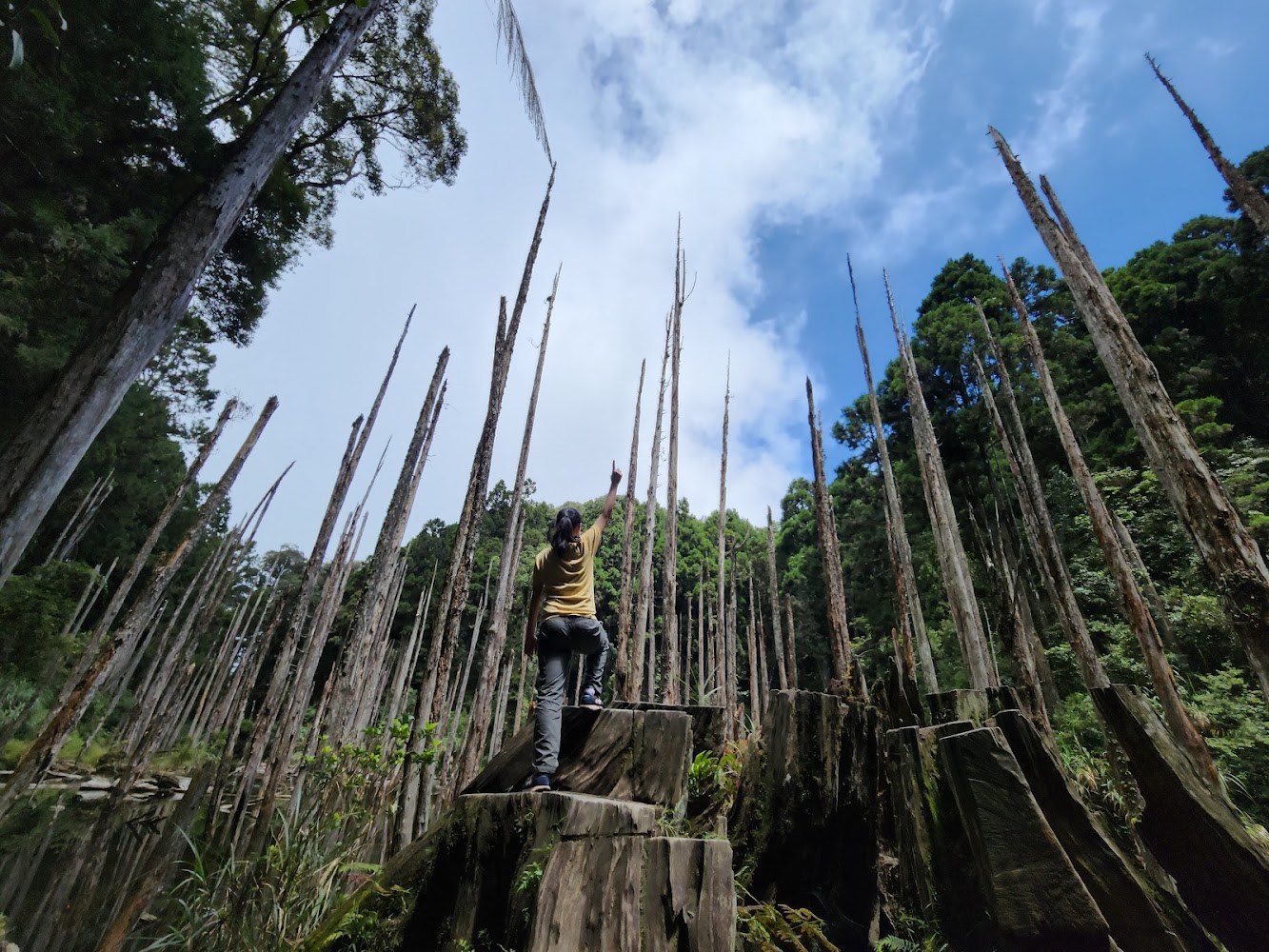 杉林溪旅行必備：探索台灣秘境的景點推薦